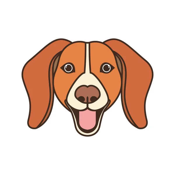Cabeza de lindo perro beagle sobre fondo blanco — Vector de stock