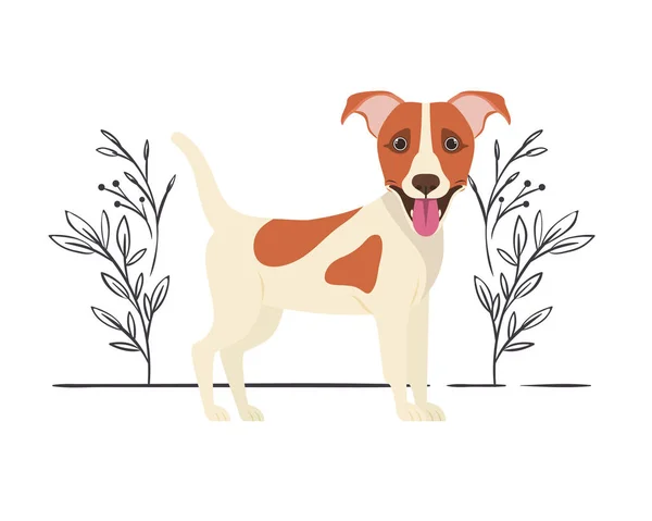 Niedlichen Jack Russell Rerrier Hund auf weißem Hintergrund — Stockvektor