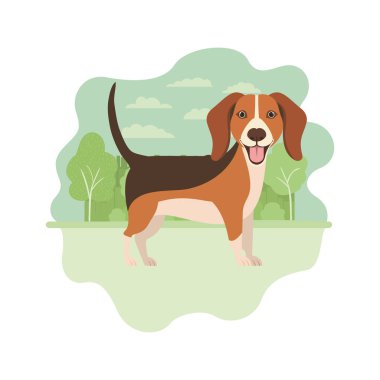 Beyaz arka plan üzerinde şirin beagle köpek