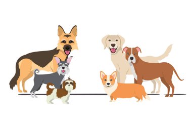 beyaz arka plan üzerinde sevimli köpeklerin seti
