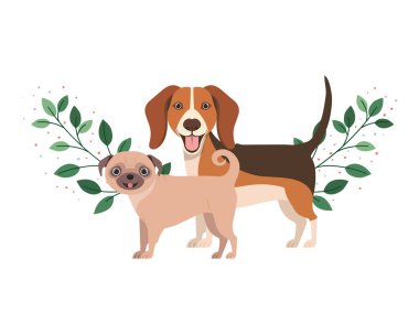 beyaz arka planda sevimli ve sevimli köpekler