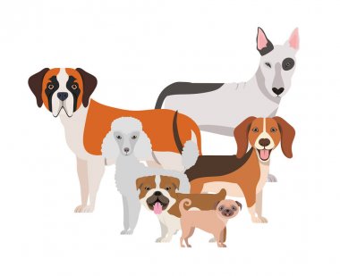 beyaz arka plan üzerinde sevimli köpeklerin seti
