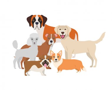 beyaz arka plan üzerinde sevimli köpeklerin seti
