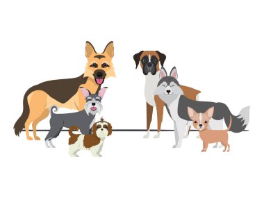 beyaz arka plan üzerinde sevimli köpeklerin seti
