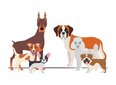 beyaz arka plan üzerinde sevimli köpeklerin seti