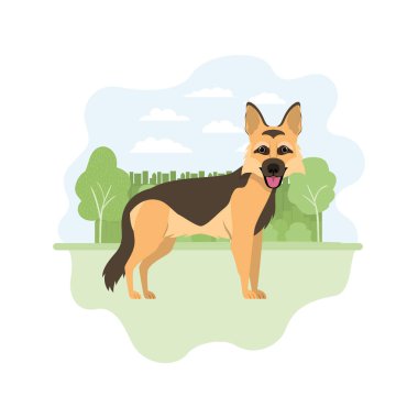 beyaz arka plan üzerinde sevimli papaz aleman köpek