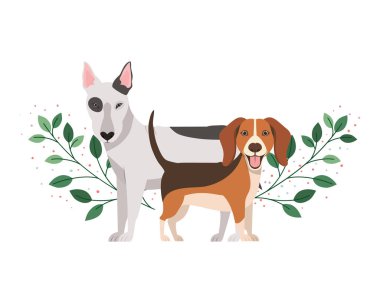 beyaz arka planda sevimli ve sevimli köpekler