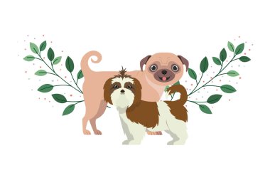 beyaz arka planda sevimli ve sevimli köpekler