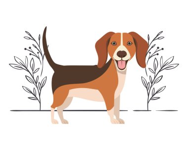 Beyaz arka plan üzerinde şirin beagle köpek