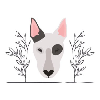 beyaz arka plan üzerinde sevimli boğa terrier köpek başkanı