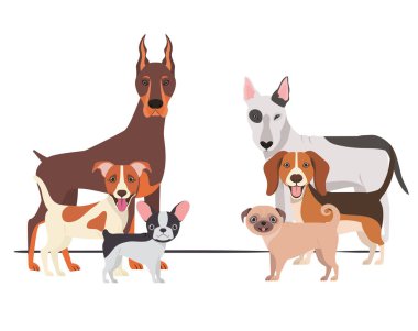 beyaz arka plan üzerinde sevimli köpeklerin seti