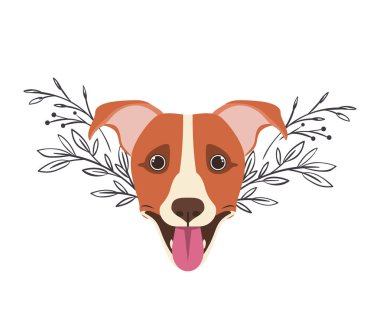 beyaz arka plan üzerinde sevimli jack russell rerrier köpek başkanı