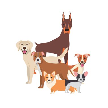 beyaz arka plan üzerinde sevimli köpeklerin seti