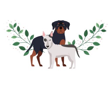 beyaz arka planda sevimli ve sevimli köpekler