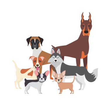 beyaz arka plan üzerinde sevimli köpeklerin seti