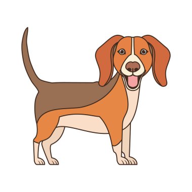 Beyaz arka plan üzerinde şirin beagle köpek