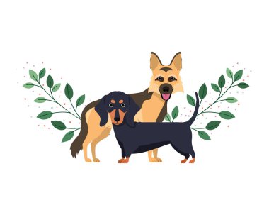 beyaz arka planda sevimli ve sevimli köpekler