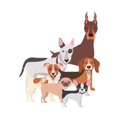 beyaz arka plan üzerinde sevimli köpeklerin seti