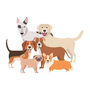 beyaz arka plan üzerinde sevimli köpeklerin seti