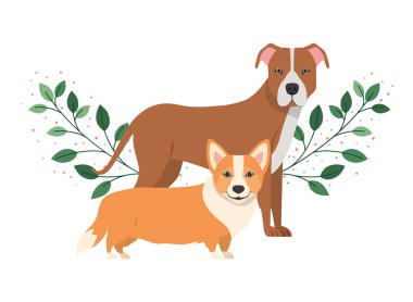 beyaz arka planda sevimli ve sevimli köpekler