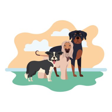 beyaz arka plan üzerinde sevimli köpeklerin seti