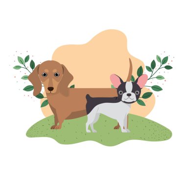 beyaz arka planda sevimli ve sevimli köpekler