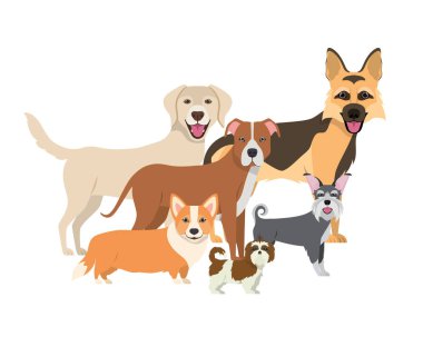 beyaz arka plan üzerinde sevimli köpeklerin seti