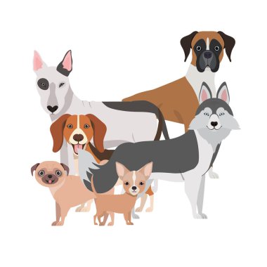 beyaz arka plan üzerinde sevimli köpeklerin seti
