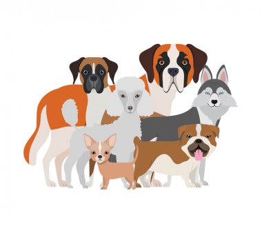 beyaz arka plan üzerinde sevimli köpeklerin seti
