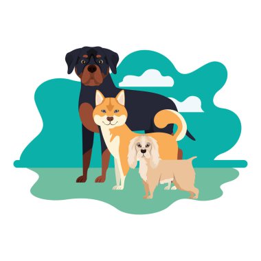 beyaz arka plan üzerinde sevimli köpeklerin seti