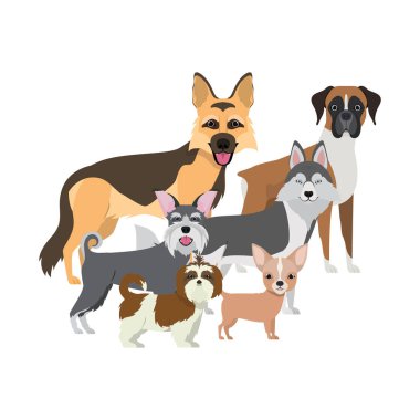 beyaz arka plan üzerinde sevimli köpeklerin seti