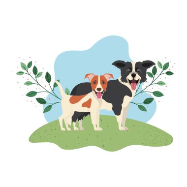 beyaz arka planda sevimli ve sevimli köpekler