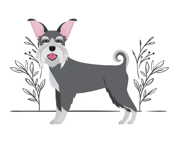 Cute schnauzer dog on white background — Stock Vector