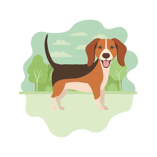 น่ารัก Beagle สุนัขบนพื้นหลังสีขาว — ภาพเวกเตอร์สต็อก