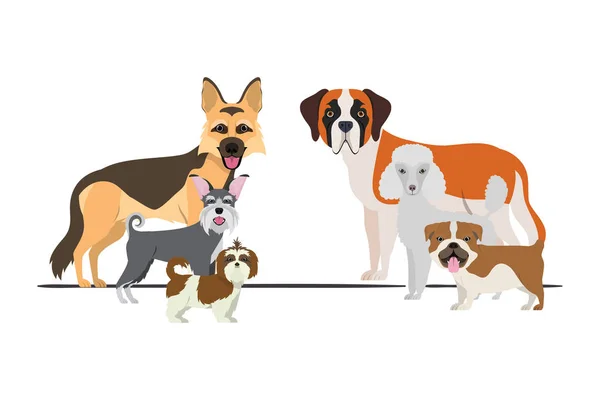 Set de perros adorables sobre fondo blanco — Vector de stock