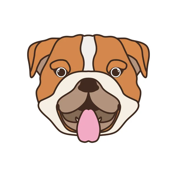 Tête de chien Bulldog ingles mignon sur fond blanc — Image vectorielle