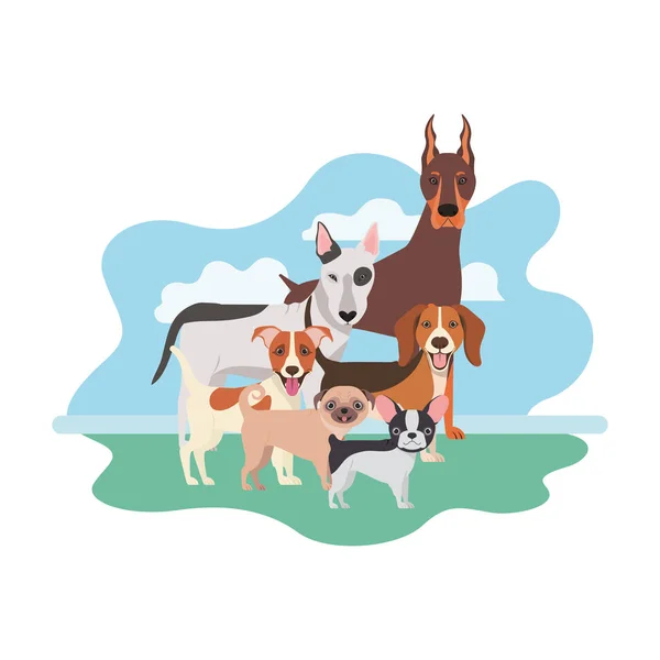 Set de perros adorables sobre fondo blanco — Vector de stock