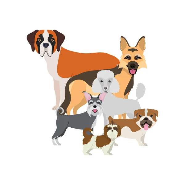 Set de perros adorables sobre fondo blanco — Vector de stock