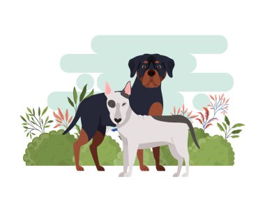 beyaz arka planda sevimli ve sevimli köpekler