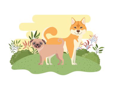 beyaz arka planda sevimli ve sevimli köpekler