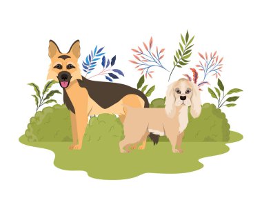 beyaz arka planda sevimli ve sevimli köpekler