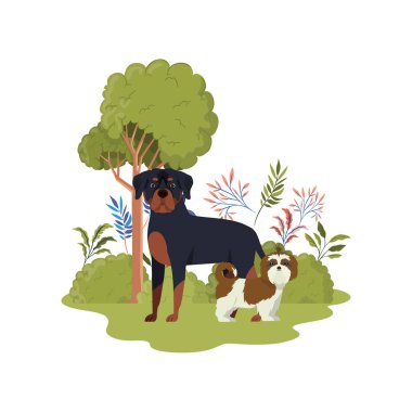 beyaz arka planda sevimli ve sevimli köpekler