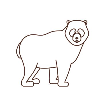 İzole ayı hayvan tasarım vektör illüstrasyon