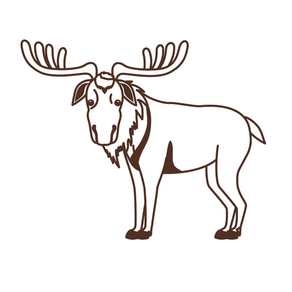 Geïsoleerde Moose dierlijke ontwerp vector illustratie — Stockvector