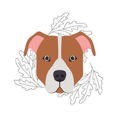 beyaz arka plan üzerinde sevimli pitbull köpek