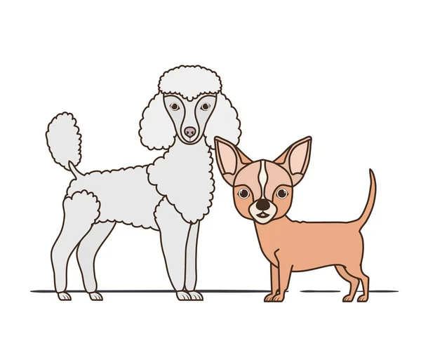 Söta och bedårande hundar på vit bakgrund — Stock vektor