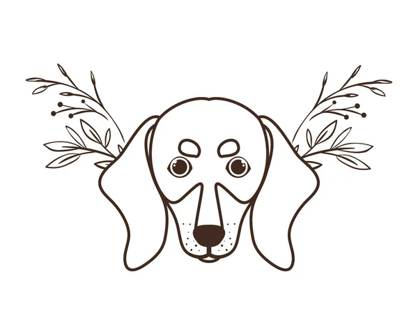 Cabeza de lindo perro salchicha sobre fondo blanco — Vector de stock