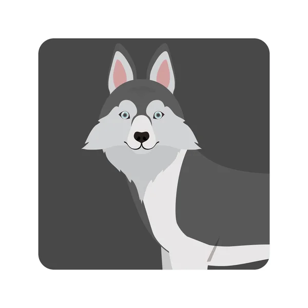 白い背景にかわいいロボシベリアーノ犬 — ストックベクタ