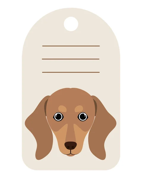 Cartão de cão com espaço para escrever — Vetor de Stock
