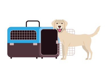 beyaz arka plan üzerinde köpek ve evcil hayvan taşıma kutusu